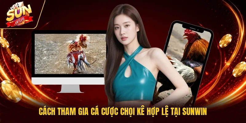Cách tham gia cá cược chọi kê hợp lệ tại Sunwin