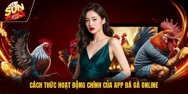 Cách thức hoạt động chính của app đá gà online