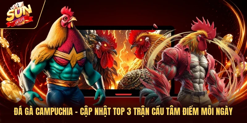 Đá Gà Campuchia - Cập Nhật Top 3 Trận Cầu Tâm Điểm Mỗi Ngày