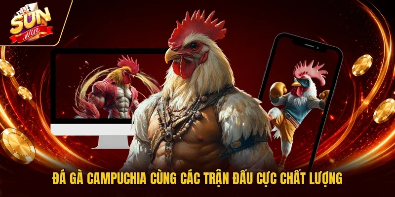 Đá gà Campuchia cùng các trận đấu cực chất lượng