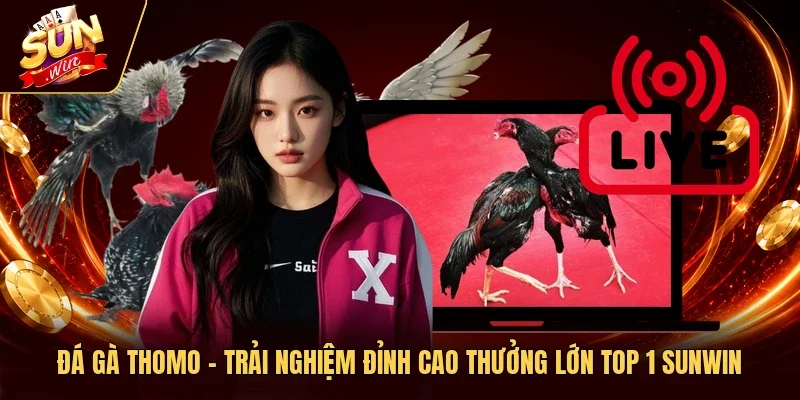 Đá Gà Thomo – Trải Nghiệm Đỉnh Cao Thưởng Lớn Top 1 Sunwin