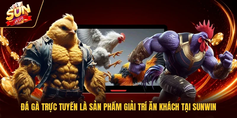 Đá gà trực tuyến là sản phẩm giải trí ăn khách tại Sunwin