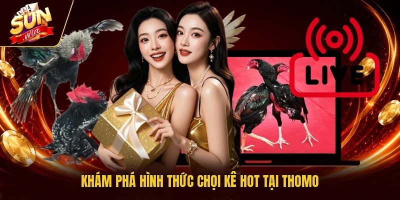 Khám phá hình thức chọi kê hot tại Thomo