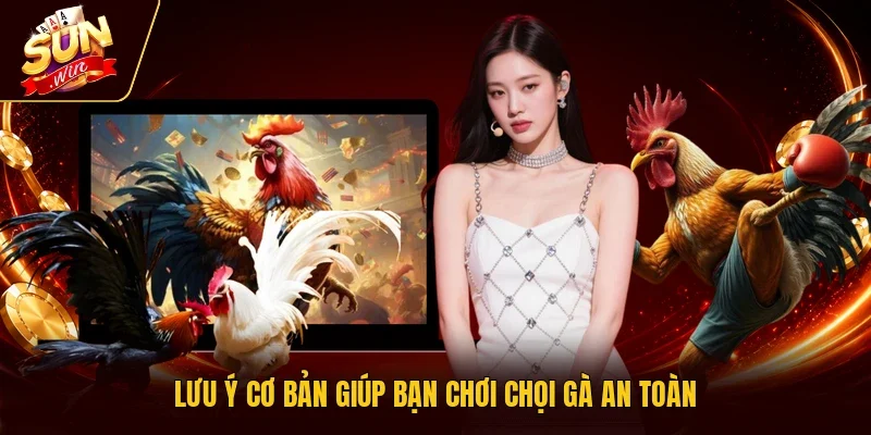 Lưu ý cơ bản giúp bạn chơi chọi gà an toàn
