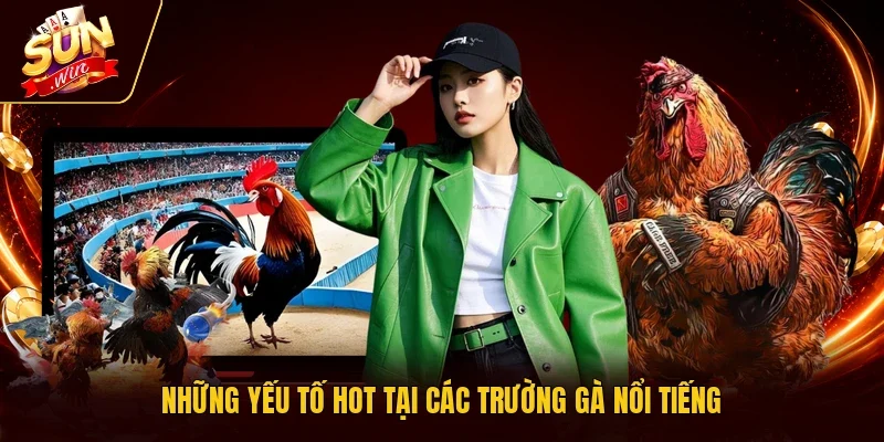 Những yếu tố hot tại các trường gà nổi tiếng