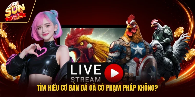 Tìm hiểu cơ bản đá gà có phạm pháp không?