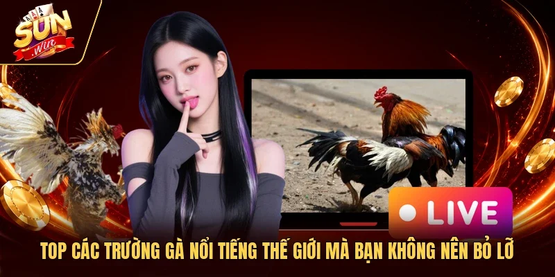 Top Các Trường Gà Nổi Tiếng Thế Giới Mà Bạn Không Nên Bỏ Lỡ