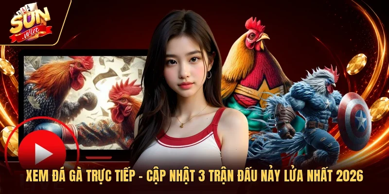 Xem Đá Gà Trực Tiếp - Cập Nhật 3 Trận Đấu Nảy Lửa Nhất 2026